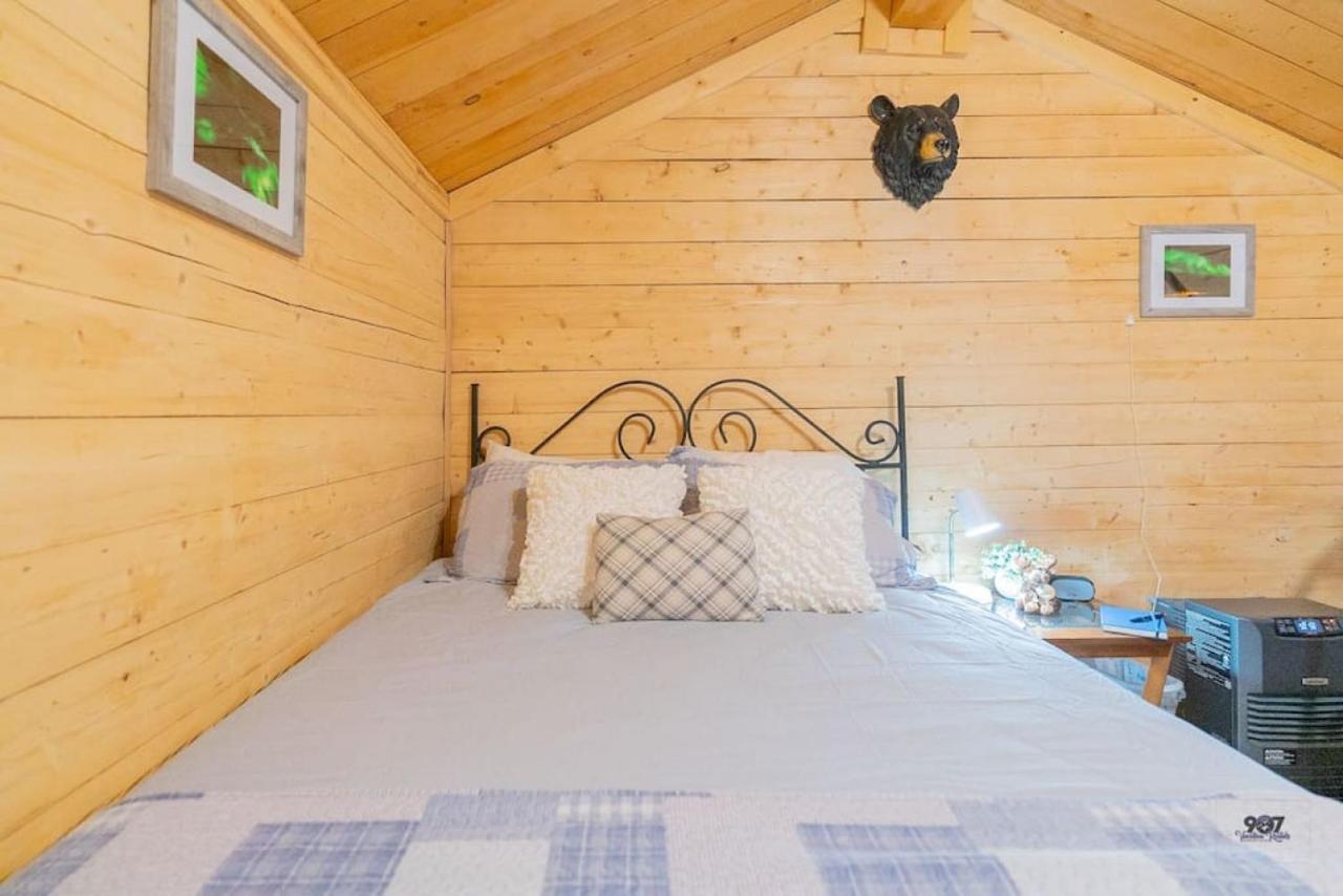 Studio Log Dry Cabin| Aurora Views! Fairbanks Exterior foto