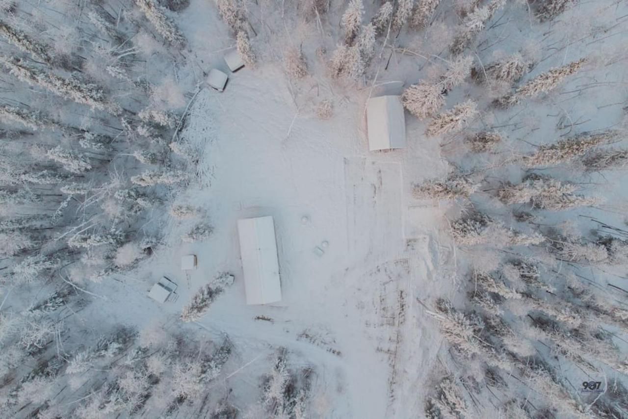 Studio Log Dry Cabin| Aurora Views! Fairbanks Exterior foto