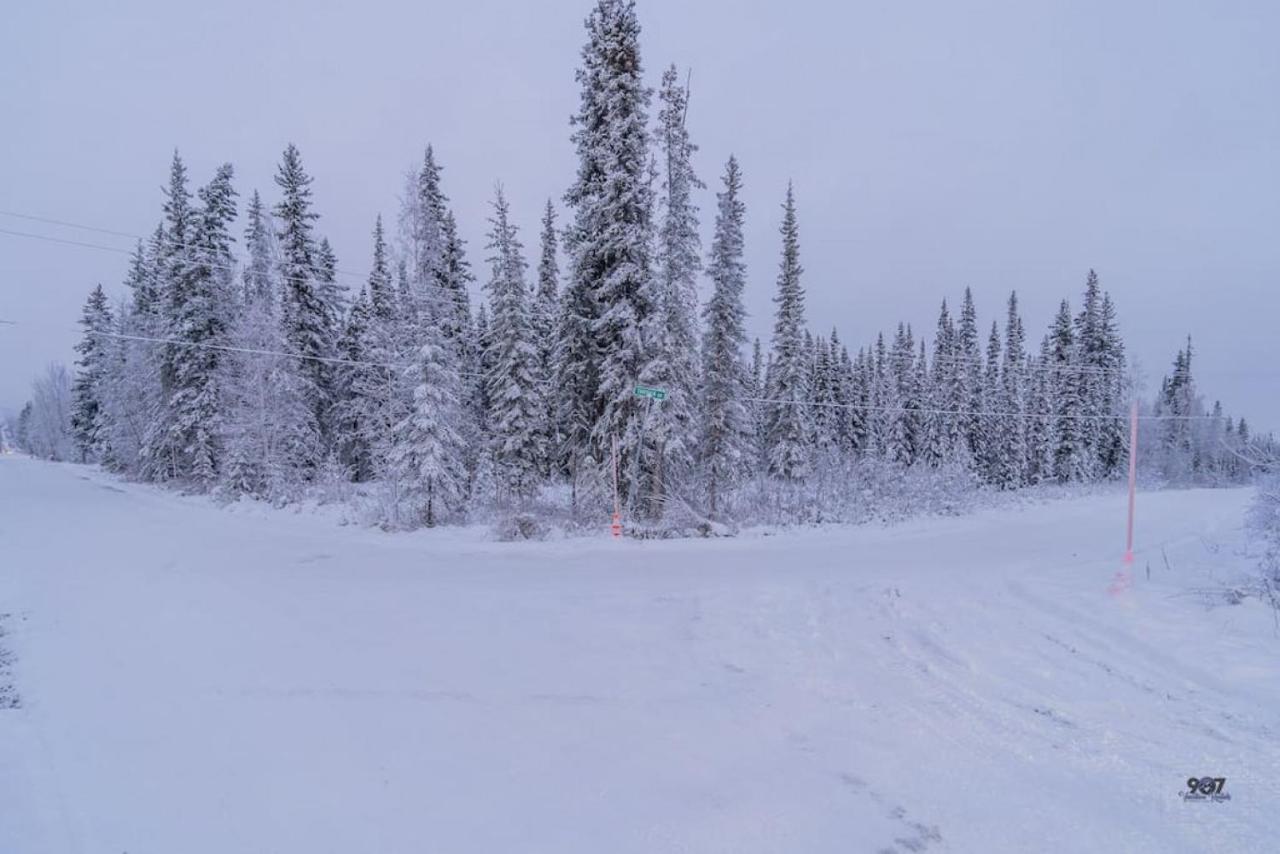Studio Log Dry Cabin| Aurora Views! Fairbanks Exterior foto