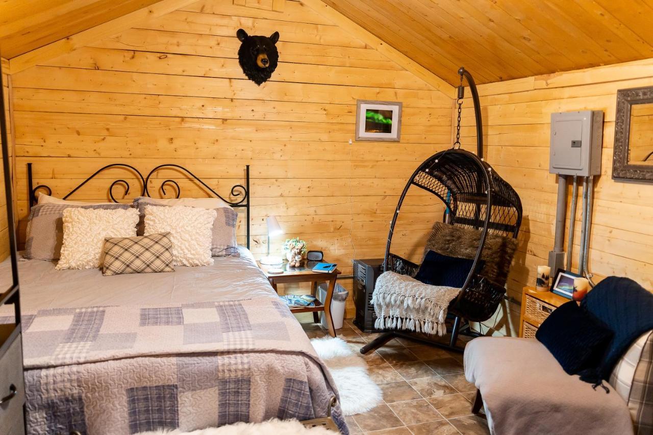 Studio Log Dry Cabin| Aurora Views! Fairbanks Exterior foto