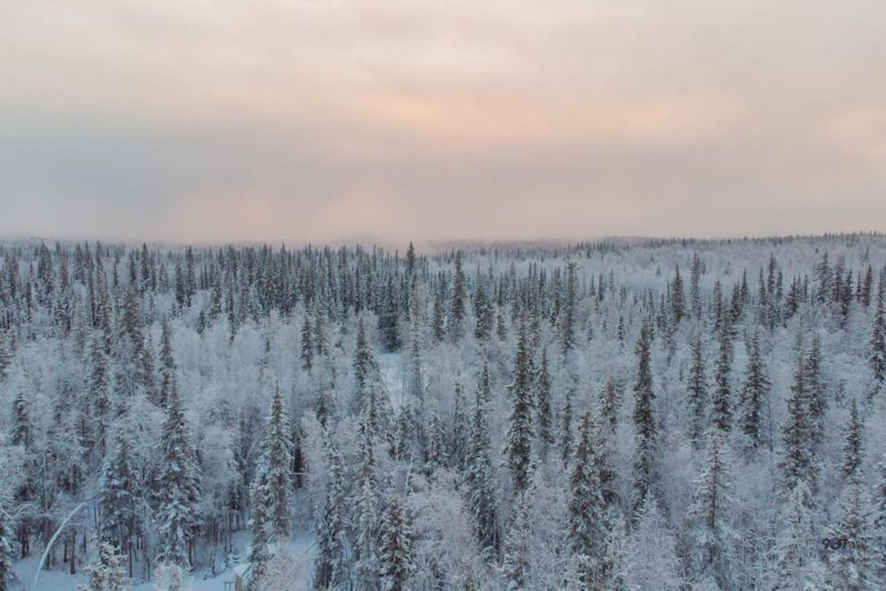Studio Log Dry Cabin| Aurora Views! Fairbanks Exterior foto